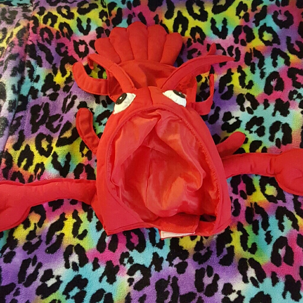 3/20$ Lobster dog costume